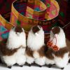 Fur Alpaca Set of 50 Handmade Stuffed Llama Figure 9in Tall