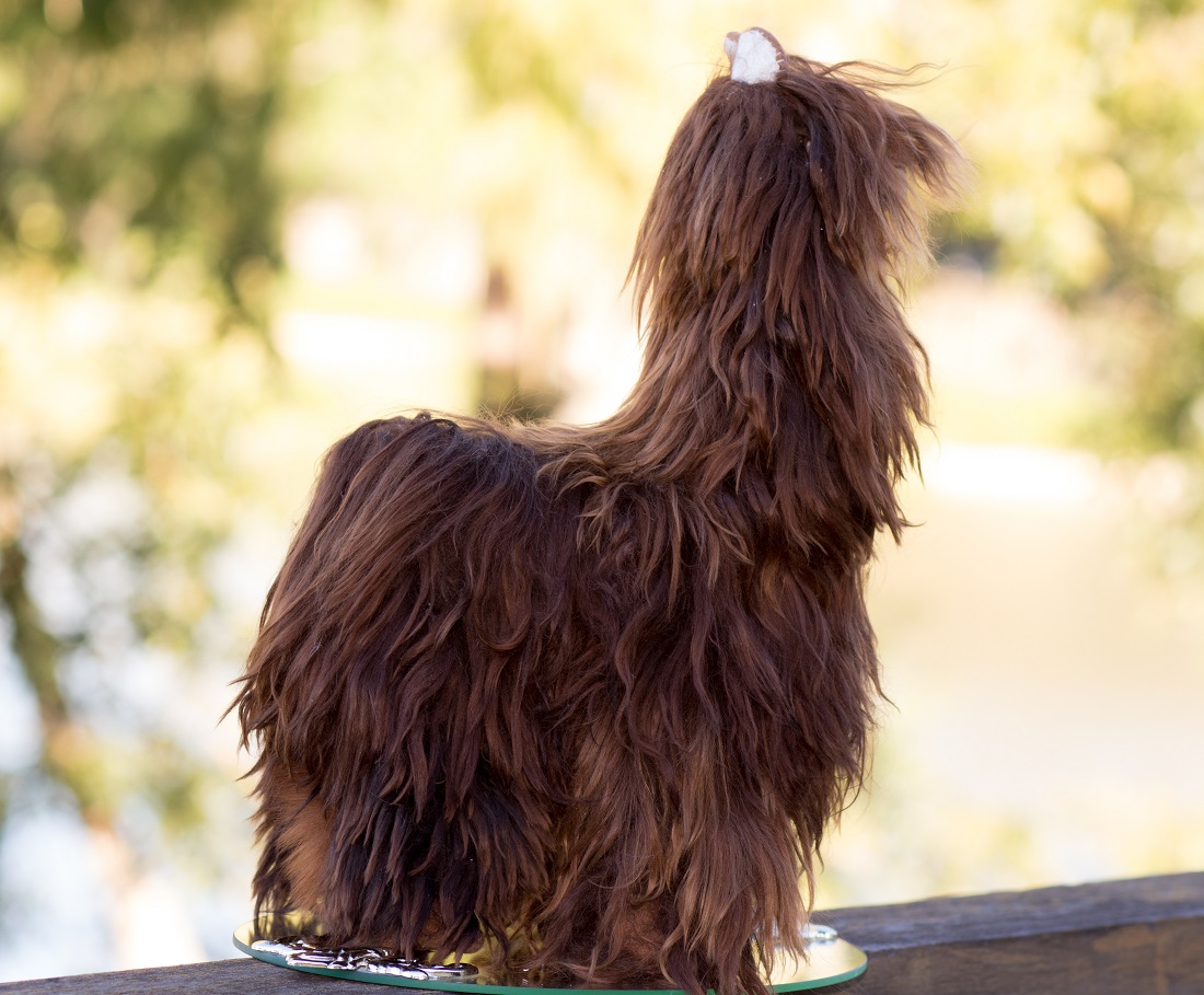 Brown-Alpaca-Suri-Cusco-13.5-in-Tall-a