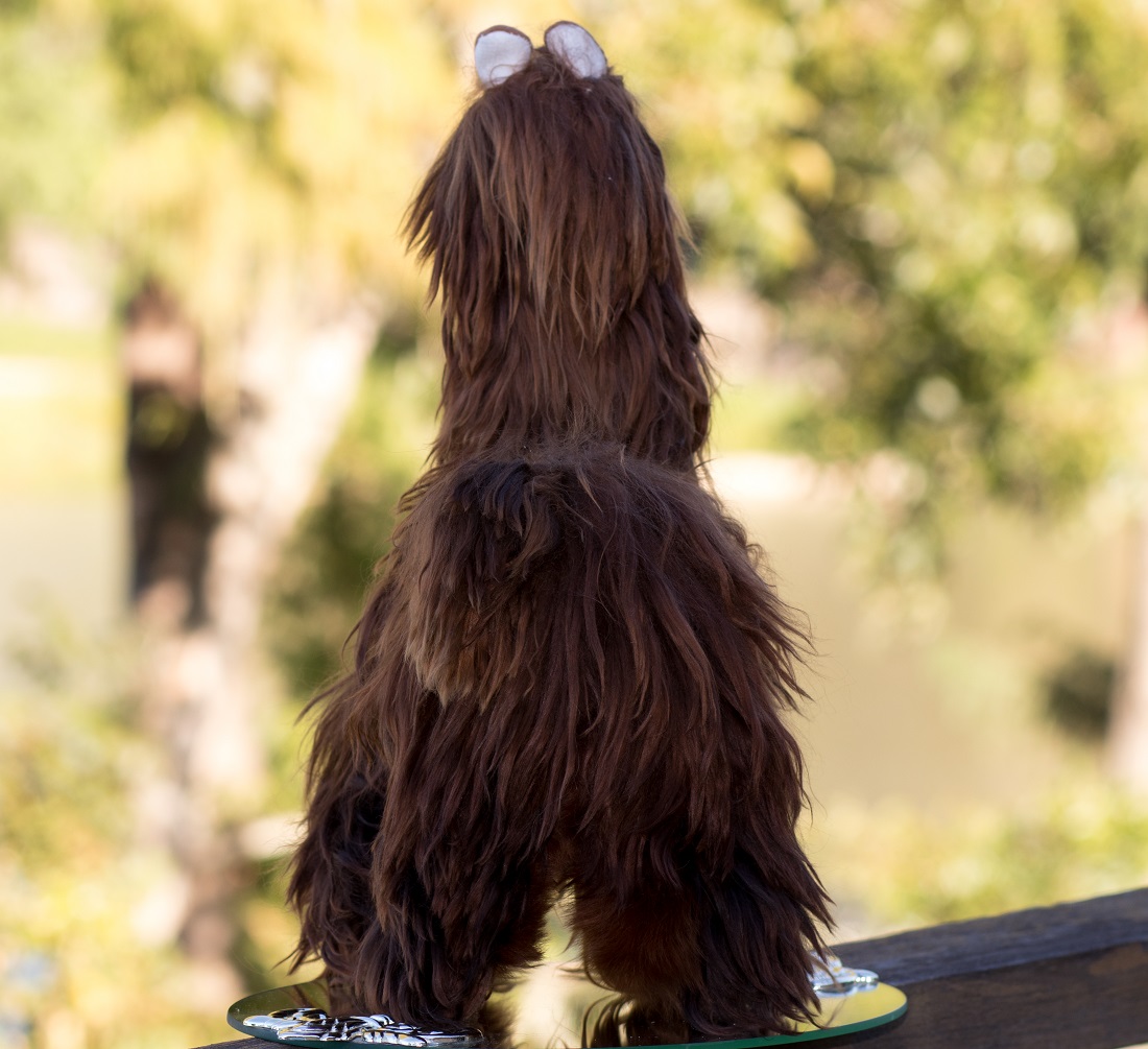 Brown-Alpaca-Suri-Cusco-13.5-in-Tall-c